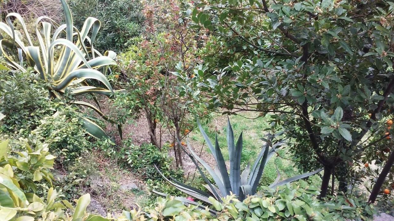 Il Capriolo Celle Ligure Exterior foto